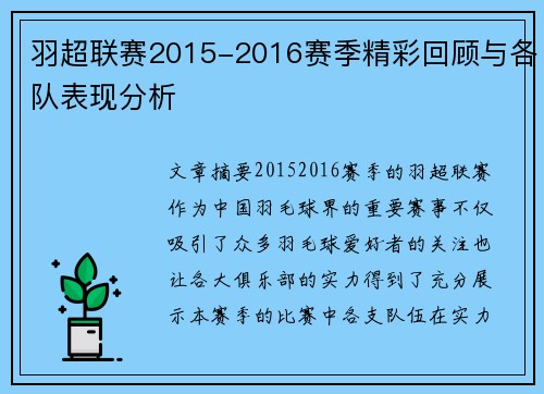 羽超联赛2015-2016赛季精彩回顾与各队表现分析