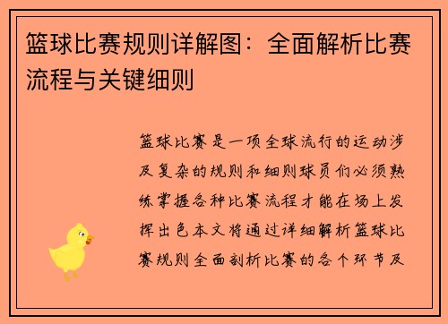 篮球比赛规则详解图：全面解析比赛流程与关键细则