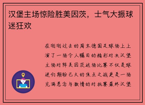 汉堡主场惊险胜美因茨，士气大振球迷狂欢