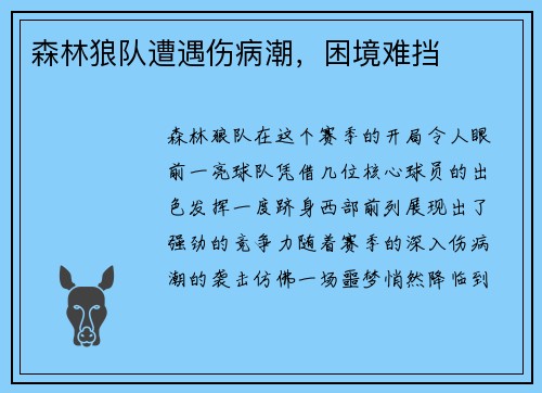 森林狼队遭遇伤病潮，困境难挡